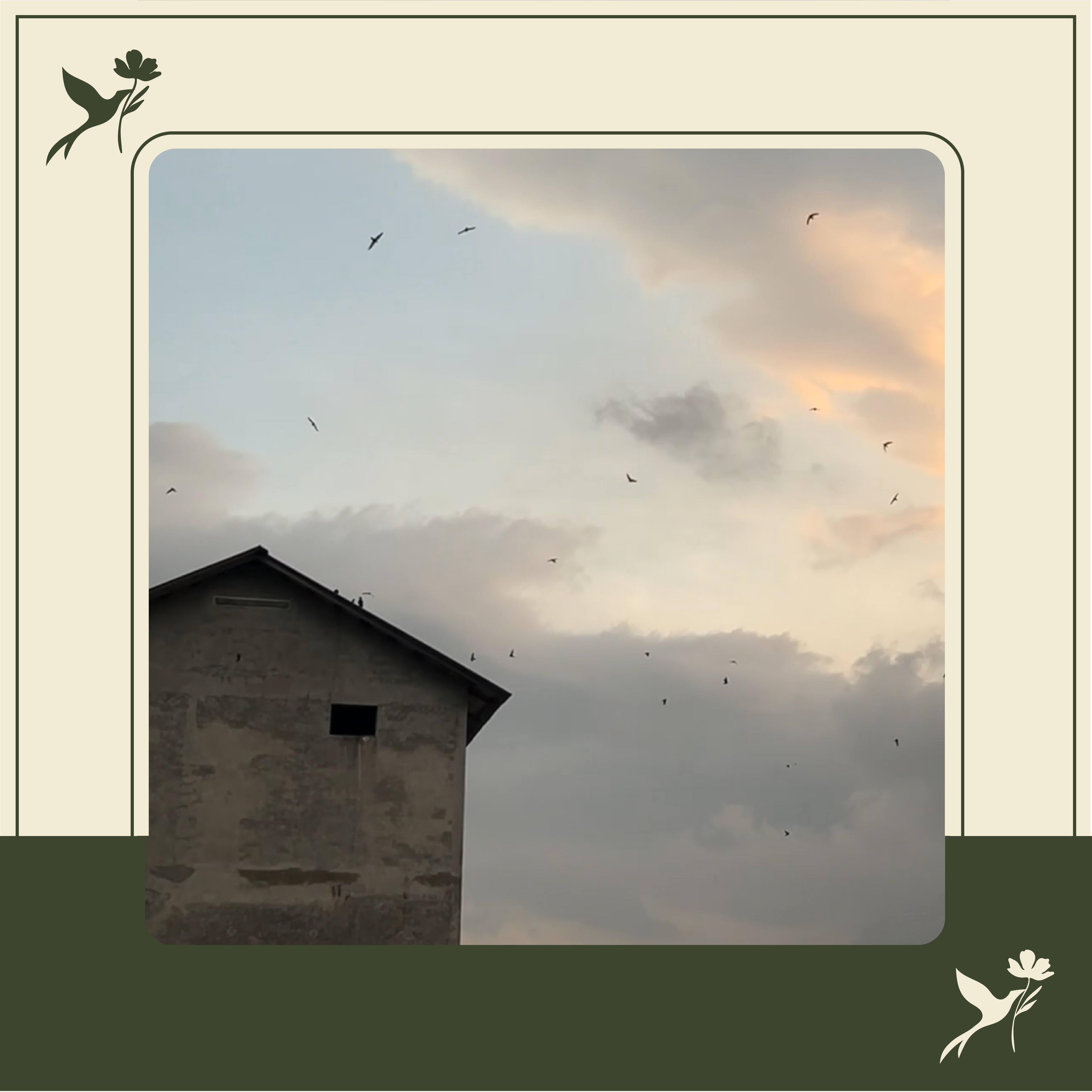 You can raise swiftlets easily by set up a building? No!