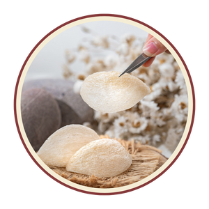Premium Dried Bird’s Nest · Gift Box