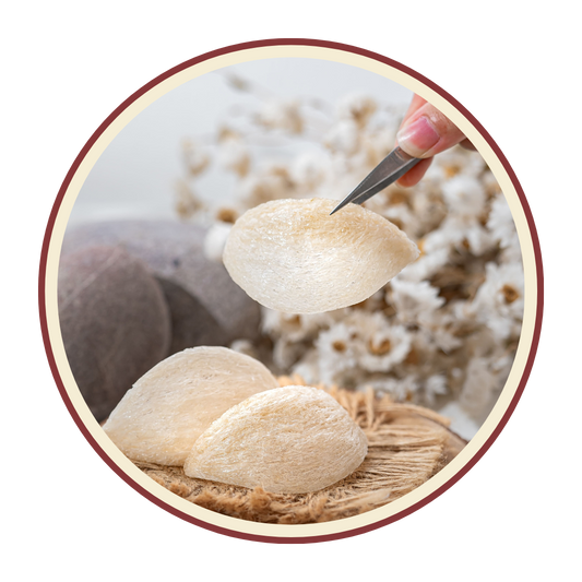 Premium Dried Bird’s Nest · Gift Box