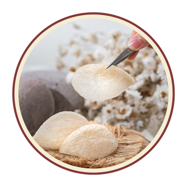 Premium Dried Bird’s Nest · Gift Box